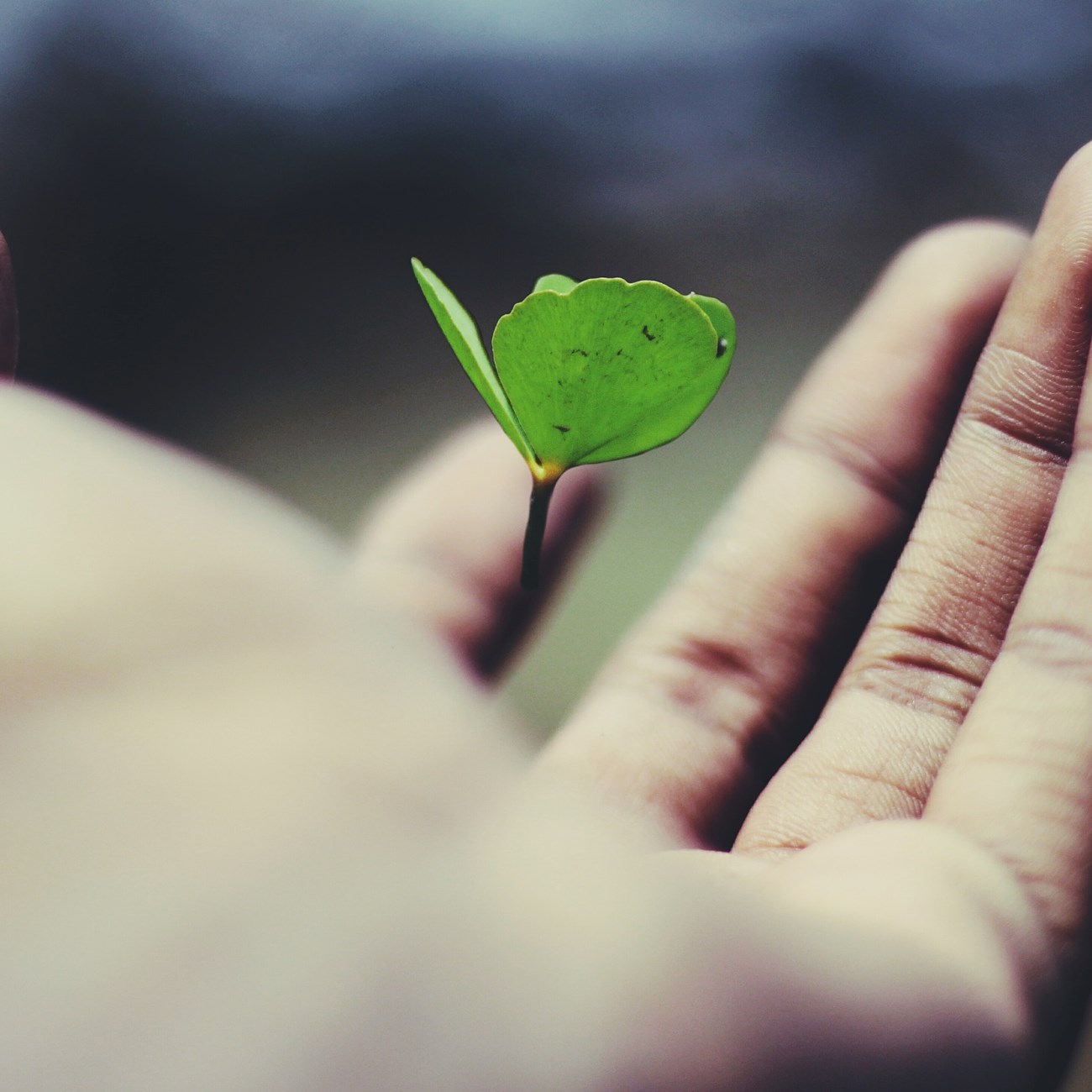 Ravi Roshan Adus32i0jc Unsplash